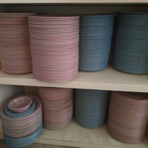 צלחות פלסטיק