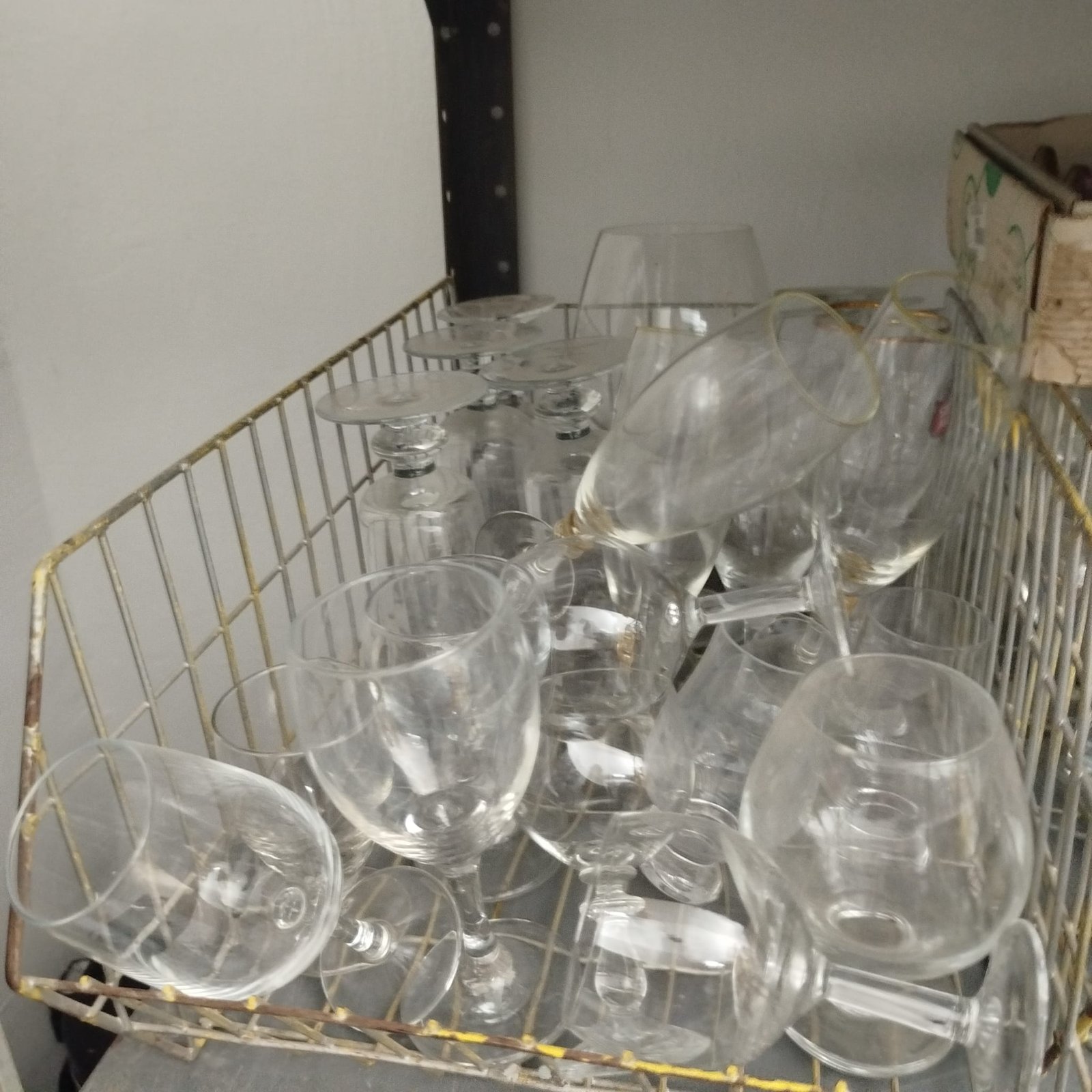 WhatsApp Image 2026-01-04 at 18.37.57 (2)