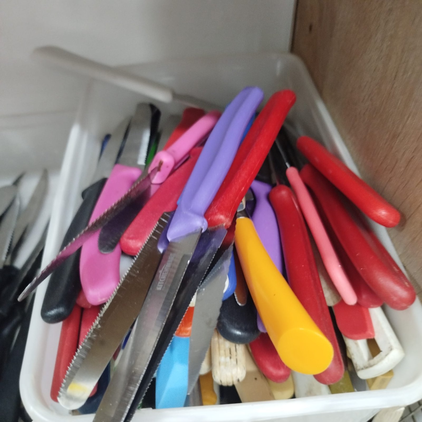 WhatsApp Image 2026-01-04 at 18.37.59